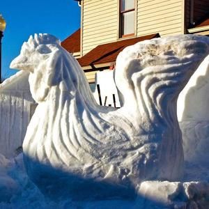 Meet your Posher, Janet